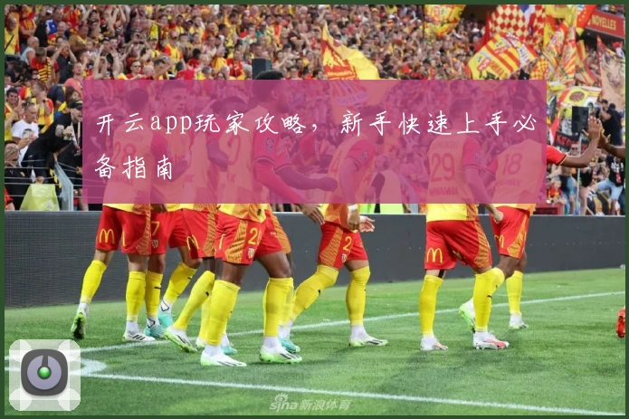 开云app玩家攻略，新手快速上手必备指南