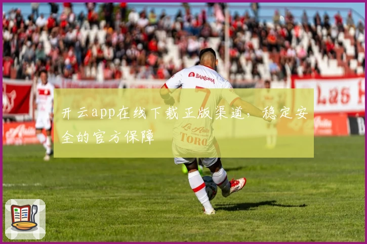 开云app在线下载正版渠道，稳定安全的官方保障