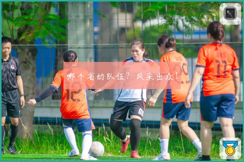 哪个省的队伍？风采出众！