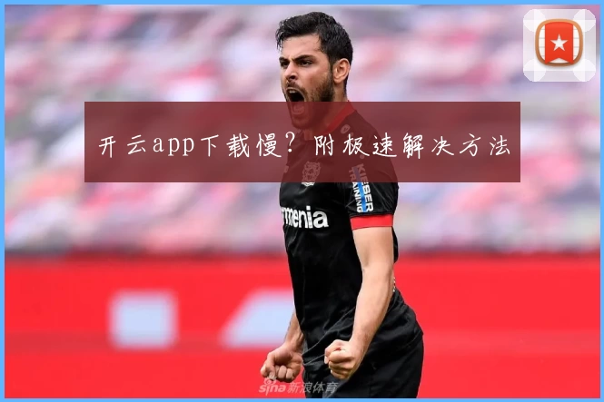 开云app下载慢？附极速解决方法