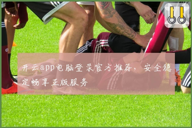 开云app电脑登录官方推荐，安全稳定畅享正版服务