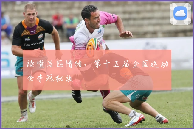 读懂马匹情绪，第十五届全国运动会夺冠秘诀