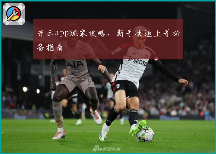 开云app玩家攻略，新手快速上手必备指南