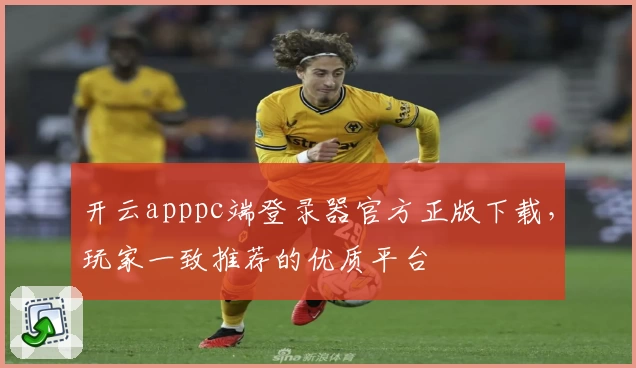 开云apppc端登录器官方正版下载，玩家一致推荐的优质平台