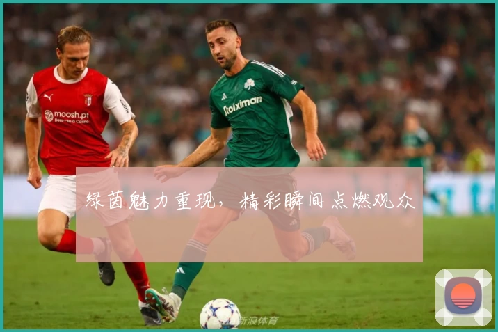 绿茵魅力重现，精彩瞬间点燃观众
