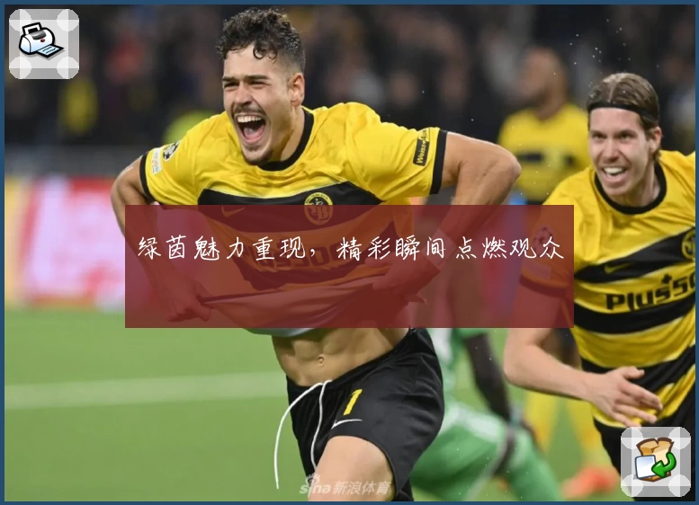 绿茵魅力重现，精彩瞬间点燃观众