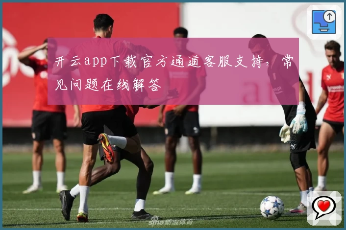 开云app下载官方通道客服支持，常见问题在线解答